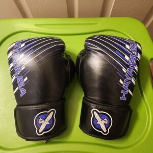 Hayabusa 10oz Black and Purple Gloves